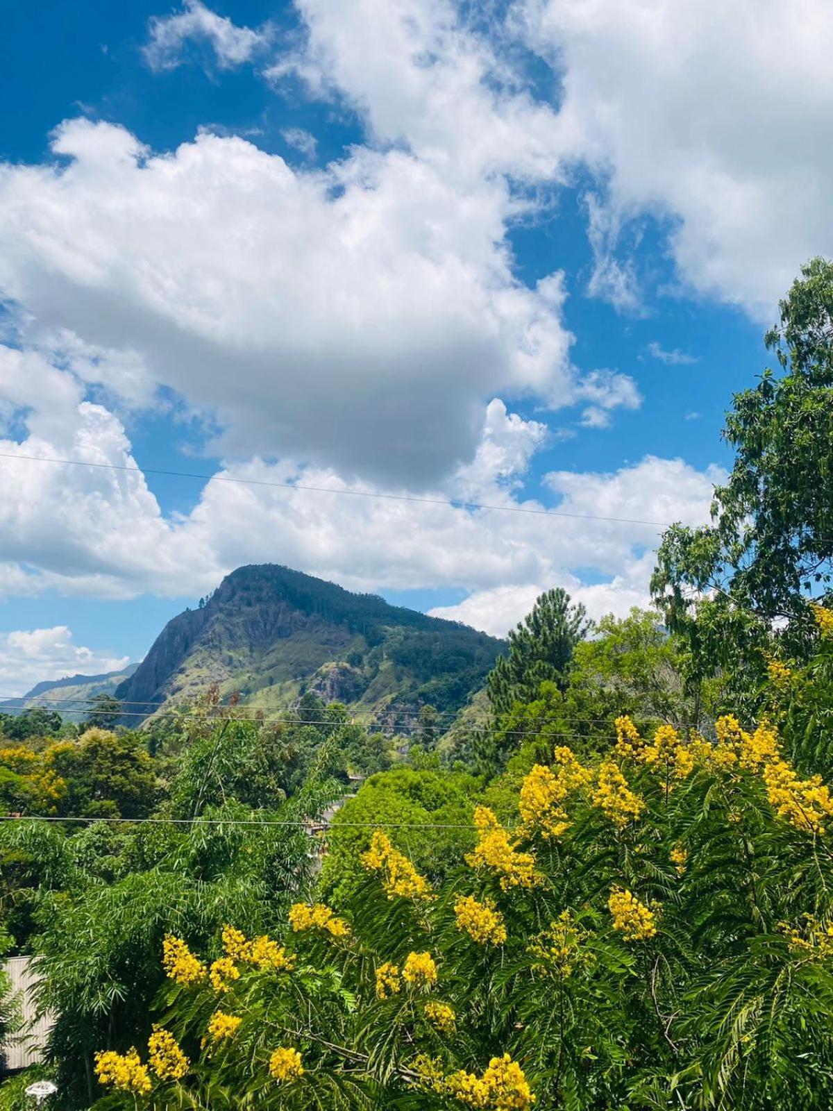 Little Paradise Homestay エッラ エクステリア 写真
