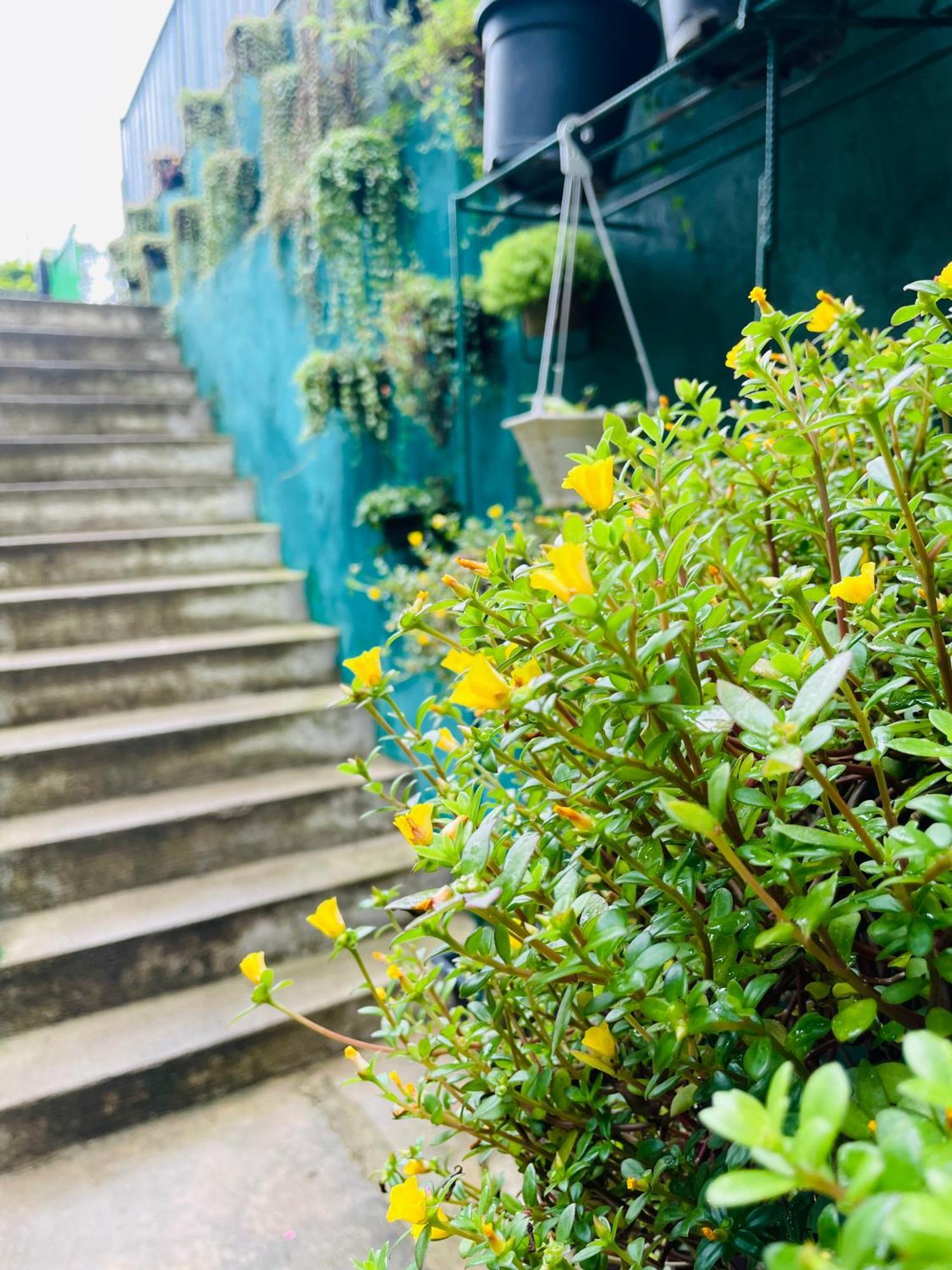Little Paradise Homestay エッラ エクステリア 写真