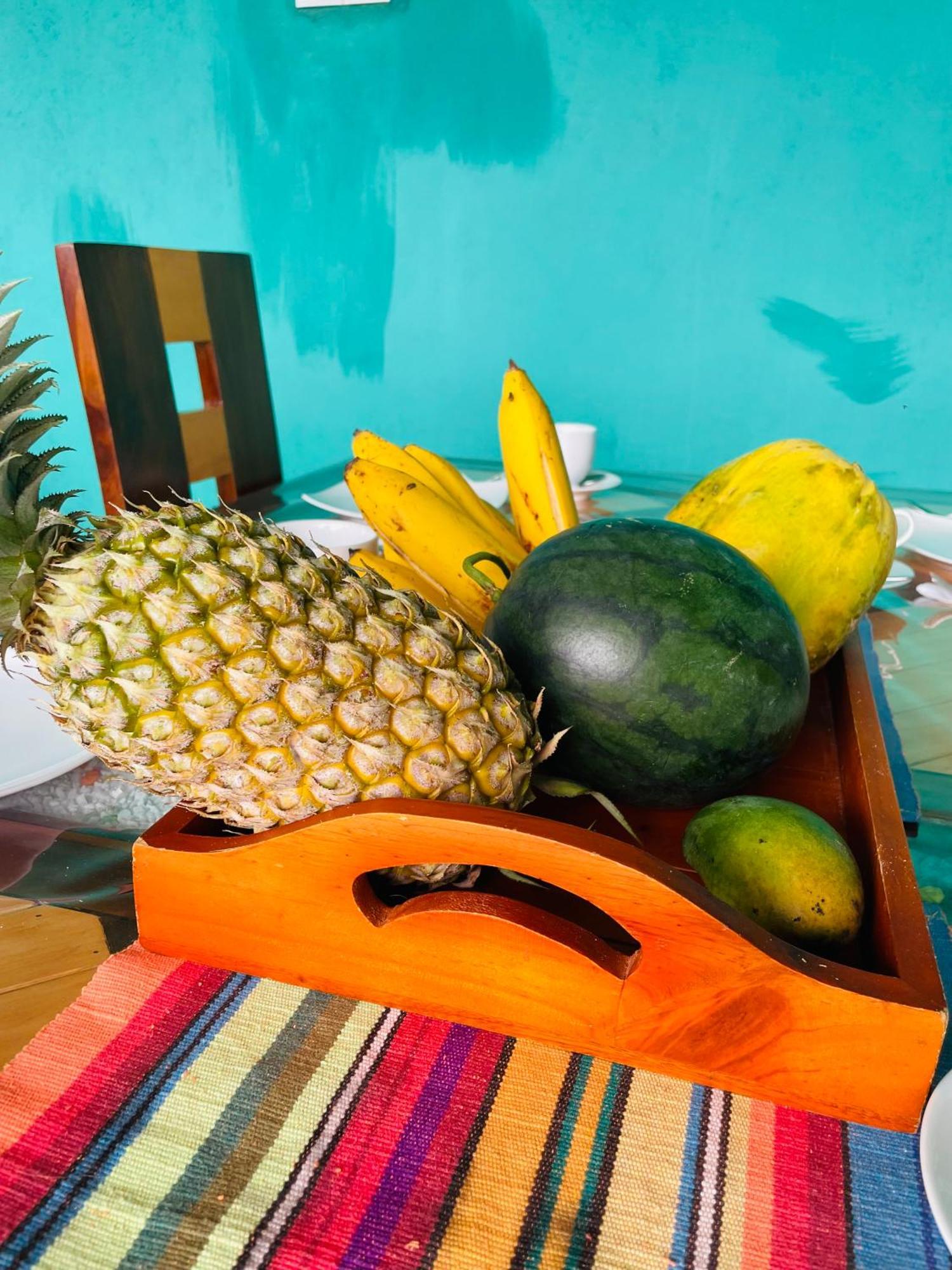 Little Paradise Homestay エッラ エクステリア 写真