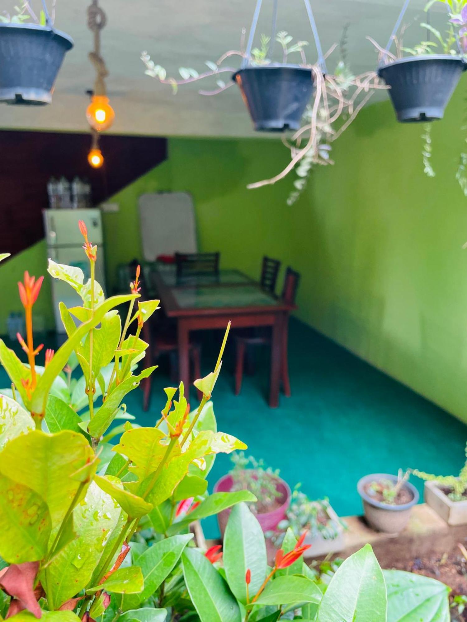Little Paradise Homestay エッラ エクステリア 写真